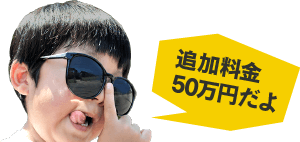 追加料金が発生することもある?